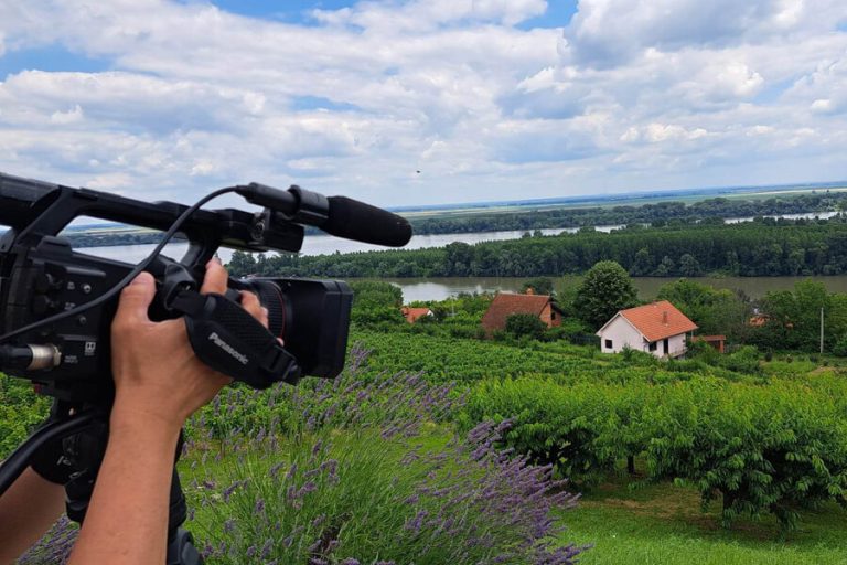 Grocka: Od Istorije Kultivacije Trešanja do Modernog Voćarskog Raja